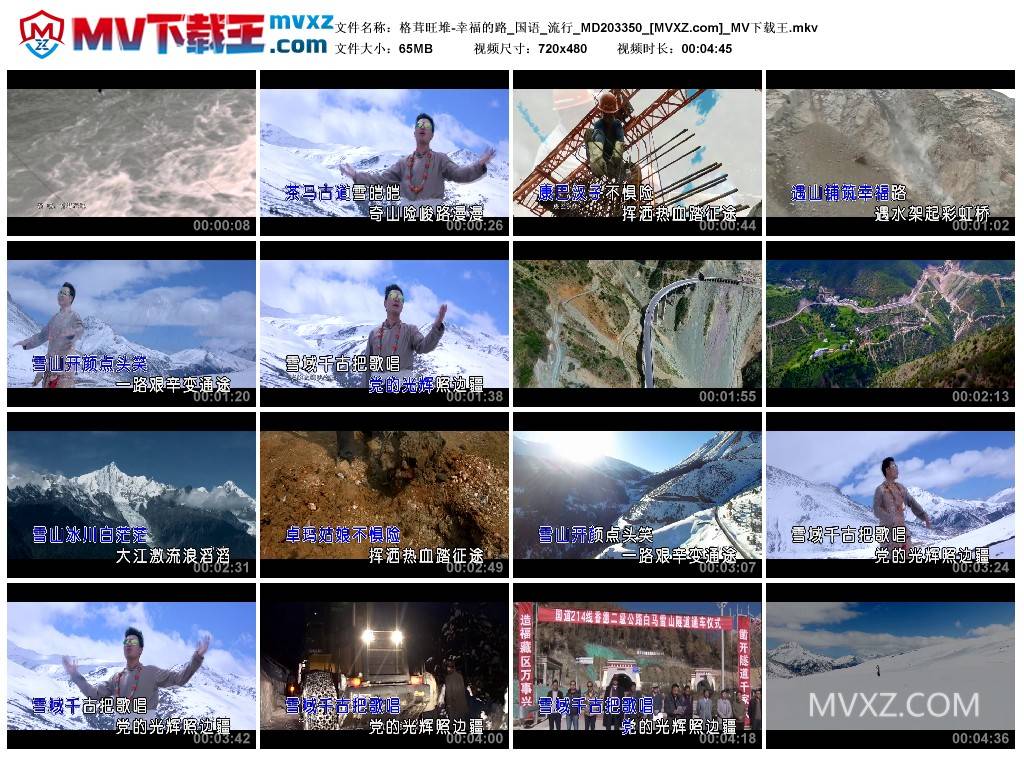 格茸旺堆-幸福的路_国语_流行_MD203350